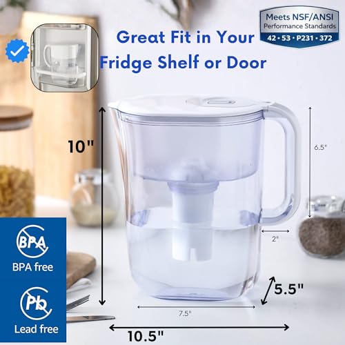 10 Cup Water Filter Pitcher with 2 Ultrafiltration & Carbon Filters (2 Count)