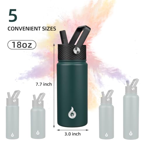 18oz Insulated Water Bottle with Straw Lid
