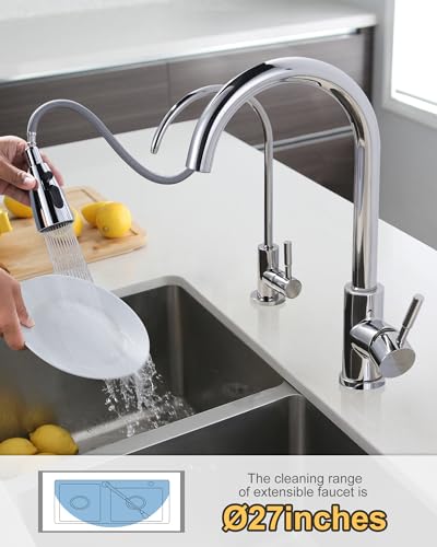 Kitchen Faucet and Water Filter Faucet Combo