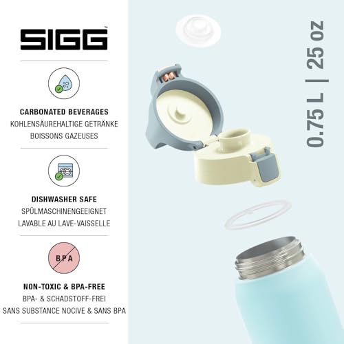 Insulated Water Bottle