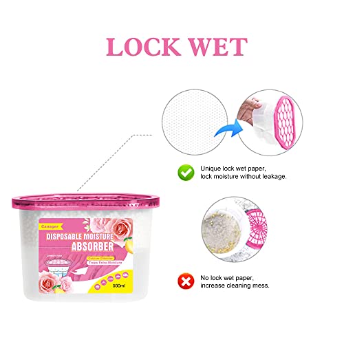 Moisture Absorber Box
