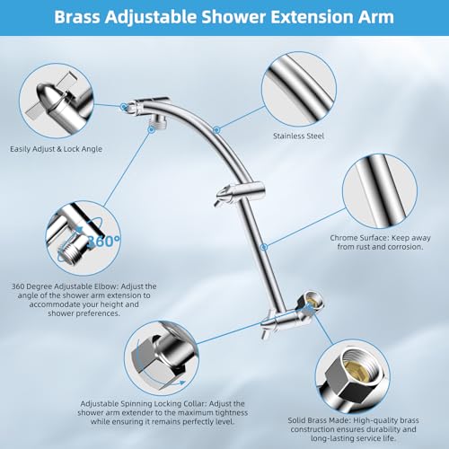 12'' Filtered Rain Shower Head with 16'' Extension Arm