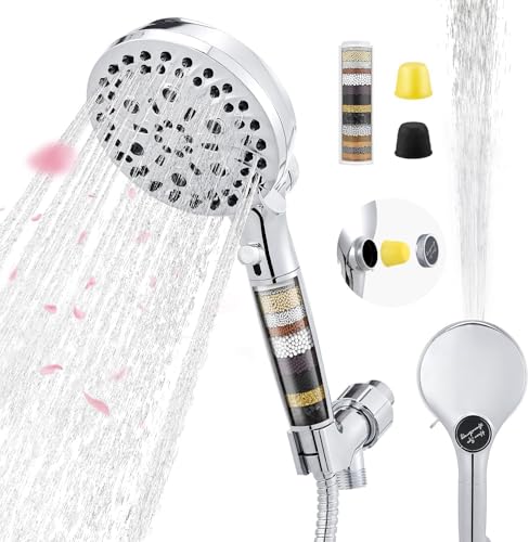 Filtered Shower Head with Handheld