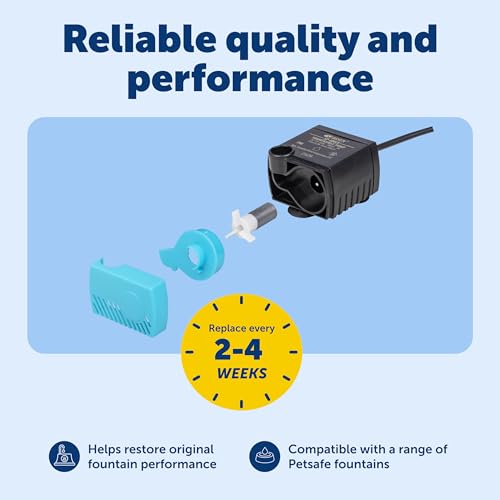 Replacement Pump