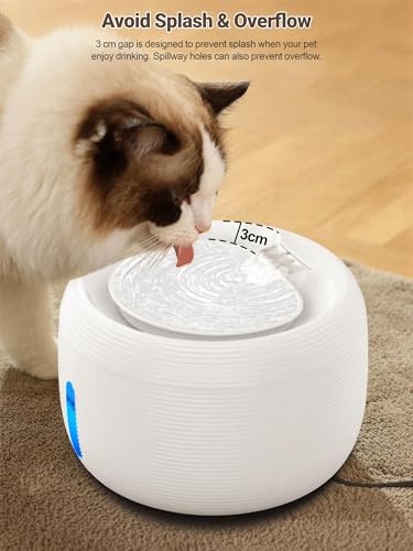 3.5L Cat Water Fountain