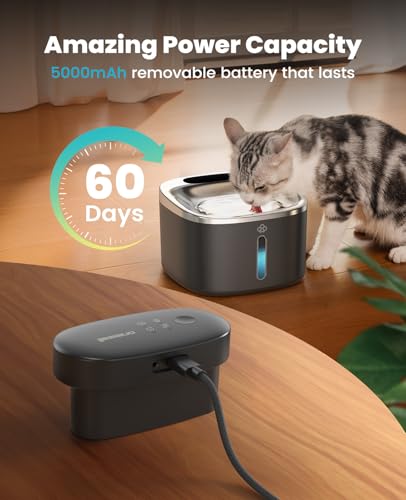 Cat Water Fountain