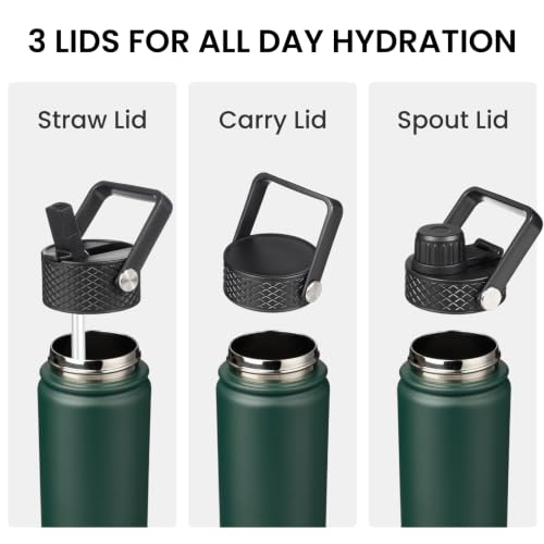 18 oz Insulated Stainless Steel Water Bottle with Straw Lid