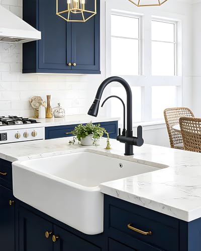Kitchen Faucet with Water Filter Spout
