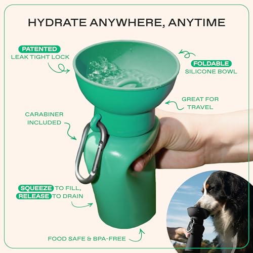 Springland 20oz Flip Portable Dog Water Bottle with Collapsible Bowl (20 Fl Oz)