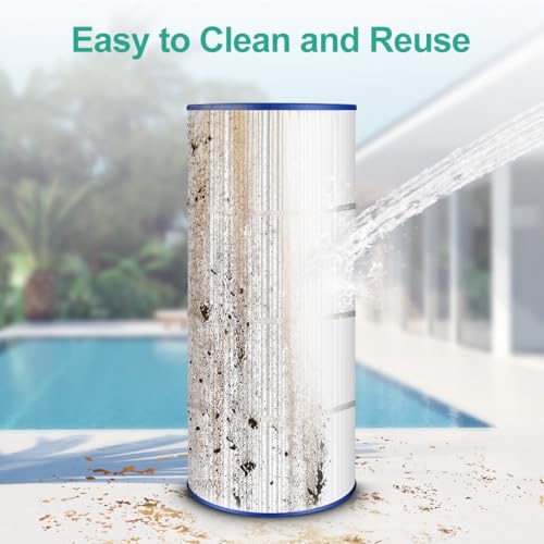 CC100 Pool Filter Compatible with CCRP100