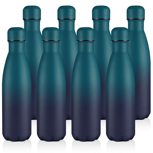 17oz Stainless Steel Water Bottles Bulk (8 Count)