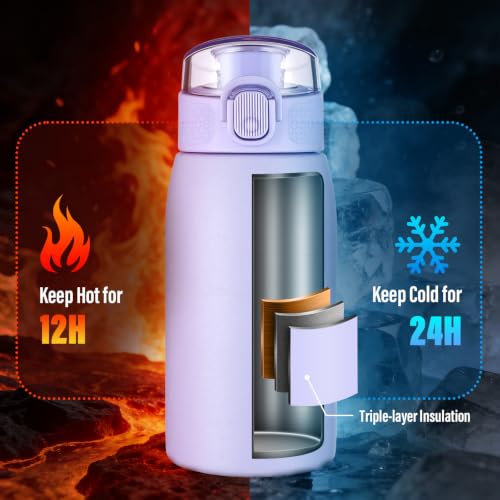 Insulated Water Bottle 12 oz with Dustproof Lid