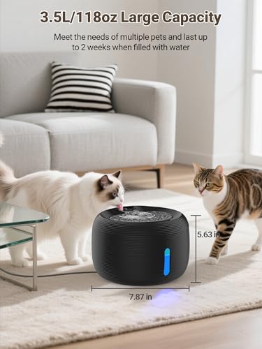 Cat Water Fountain