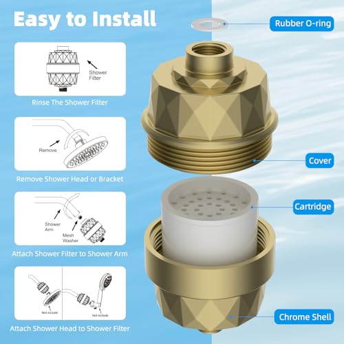 Shower Head Filter