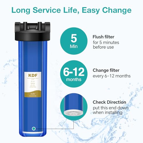 20" x 4.5" Whole House GAC Carbon and KDF Water Filter Cartridge (2 Count)