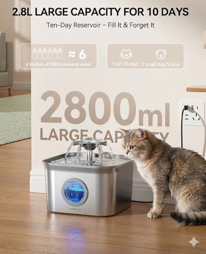 Stainless Steel Cat Water Fountain