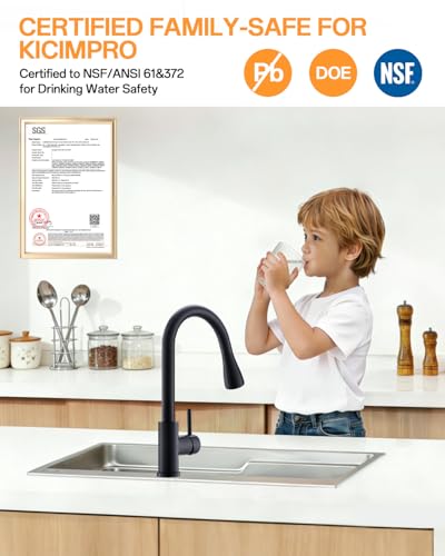 Kitchen Faucet with Pull Down sparyer
