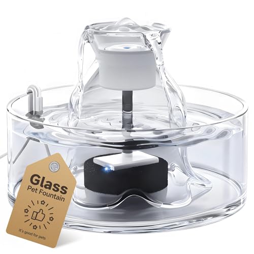 Glass Cat Water Fountain