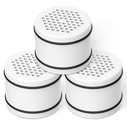 WHR 140 Shower Filter (3 Count)