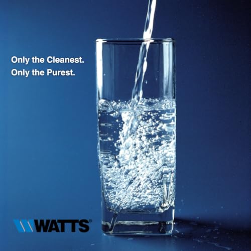 Watts Flow Pur GAC