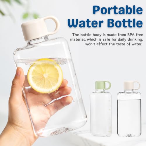 2 Pack Portable Flat Water Bottles (2 Count)