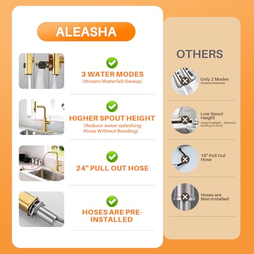 Kitchen Faucet with Pull Down Sprayer