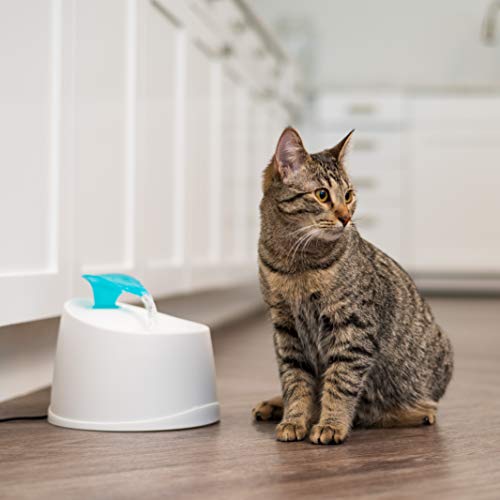 Cat Water Fountain