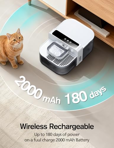 Wireless Cat Water Fountain with No Filters