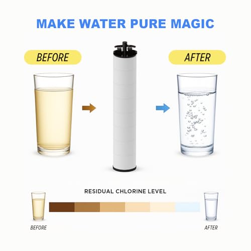 DAILY CHAE Vitamin C Shower Filter Refill for Hard Water