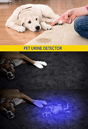 UV 395nm Flashlight Blacklight Woods lamp Black Light Mini (2 Count)