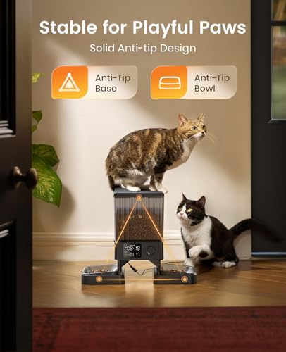 Automatic Cat Feeder for 2 Cats Pets