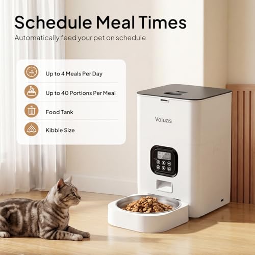 Automatic Cat Feeder