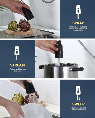Kitchen Faucet with Air Gap