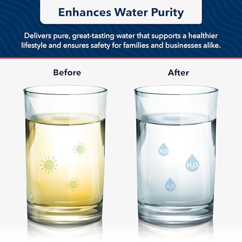 US Water Systems Carbon Water Filter (2 Count)