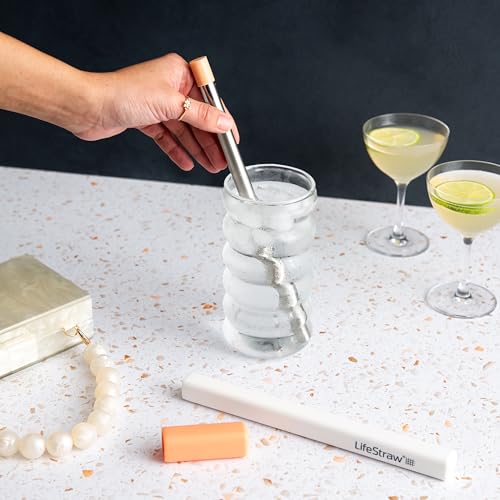 Sip Reusable Stainless Steel Water Filter Drinking Straw with Carry Case