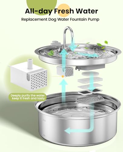 Dog Water Fountain for Large Dogs