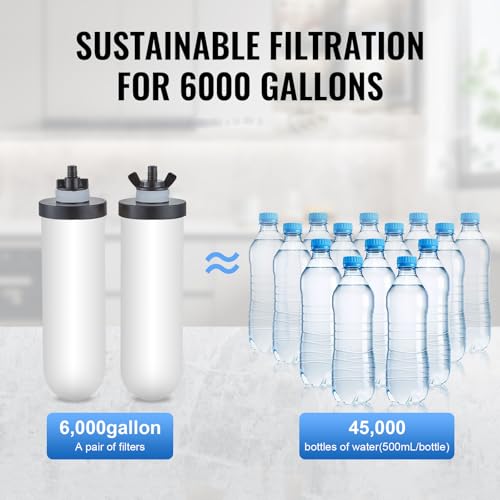 Gravity fed Water Filter System