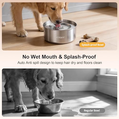 304 Stainless Steel Dog Water Bowl No Spill (101 Fl Oz)