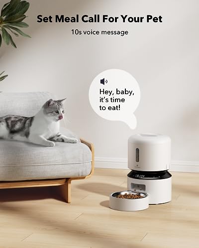 Automatic Cat Feeder
