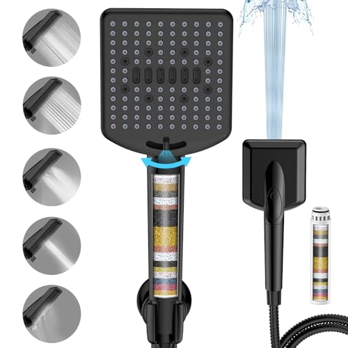 Filtered Shower Head with Handheld