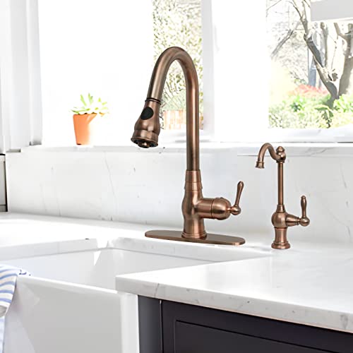 Kitchen Water Filter Faucet