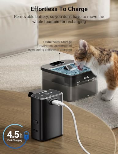 Cat Water Fountain Cordless