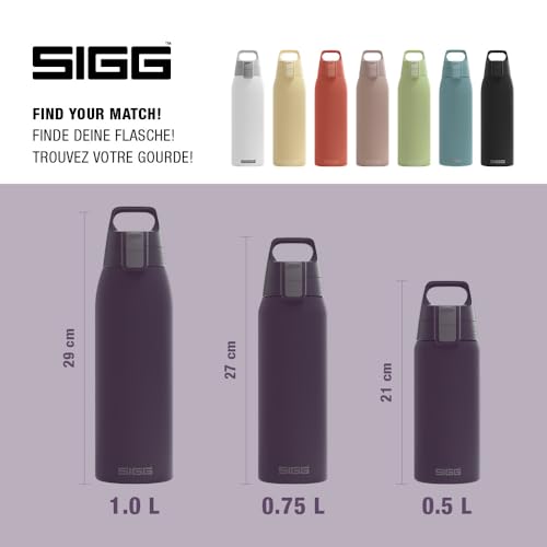 Insulated Water Bottle