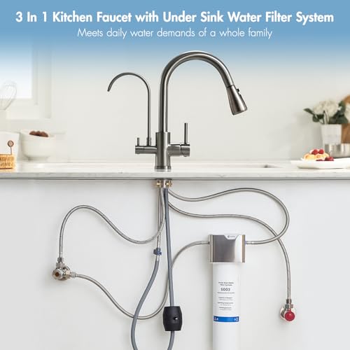 3 in 1 Kitchen Faucet with Water Filter and Pull Down Sprayer