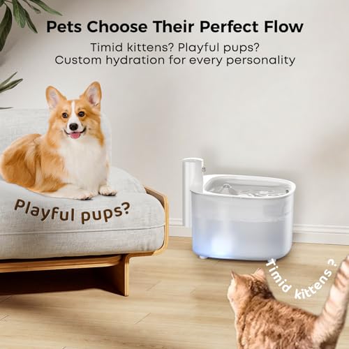 Wireless Cat Water Fountain