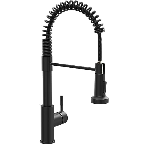 Black Kitchen Faucet with Pull Down Sprayer