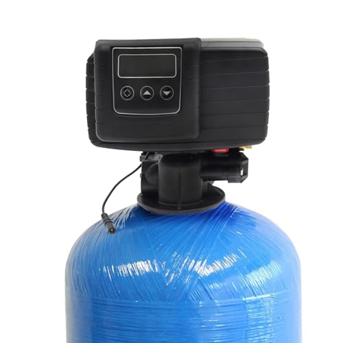 5600SXT Water Softener Valve