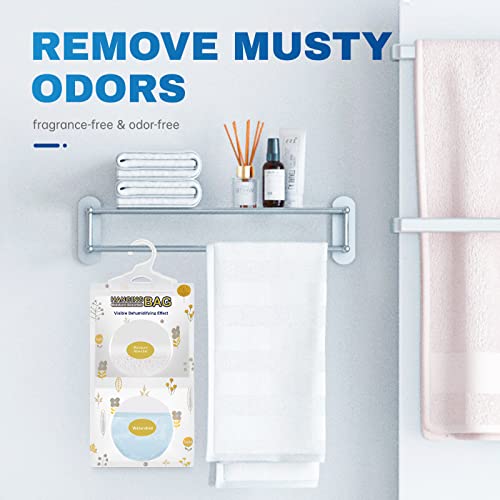 Moisture Absorber (10 Count)