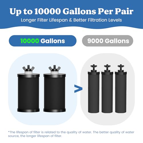 PF 1 Black Thickened Purification Elements (2 Count)