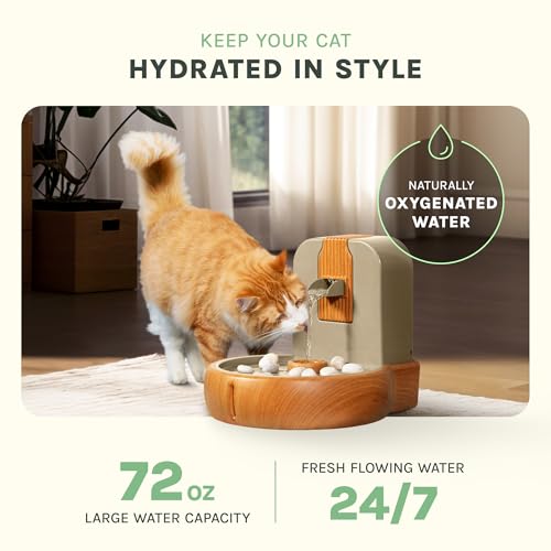 Cat Water Fountain
